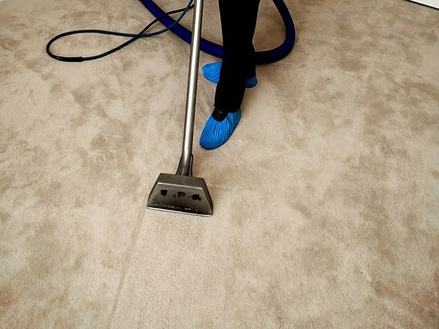 Carpet Cleaners in Beverley